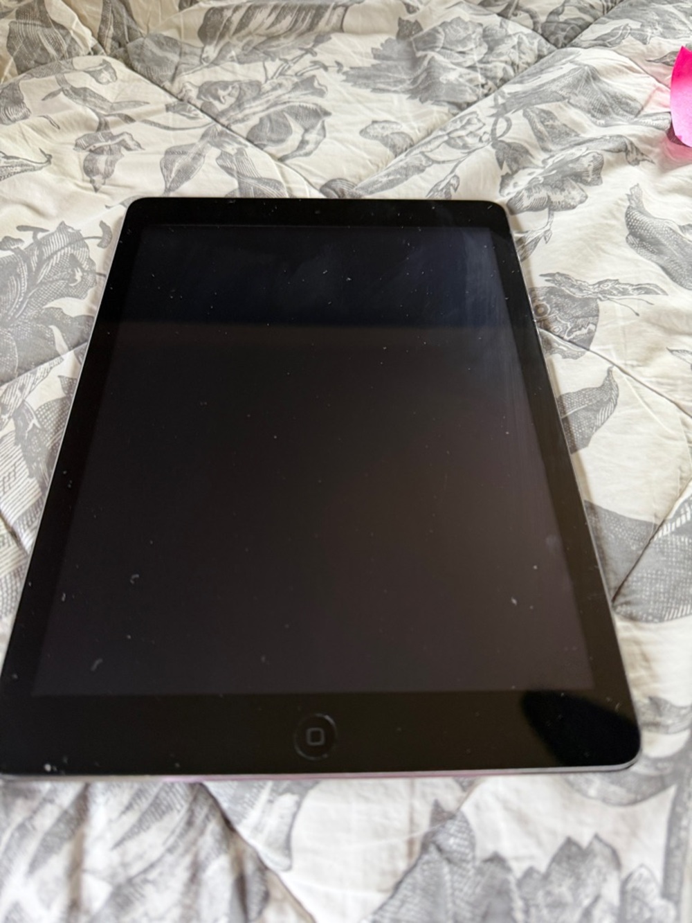 Apple Ipad Air - Silver - 32GB